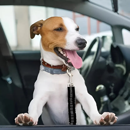 Correa Anti-Enredos Dúo + Correa de Coche GRATIS