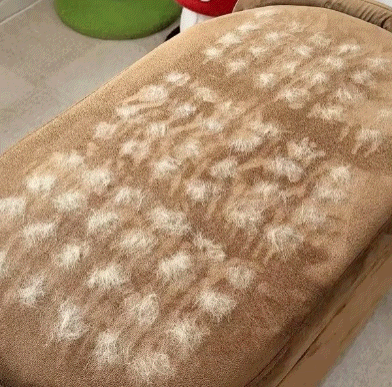 Doble Poder Anti-Pelo Think Bold. ¡Limpieza Definitiva!